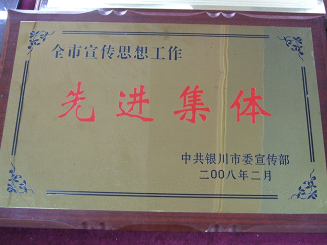 2008年全市宣传思想工作先进集体.jpg