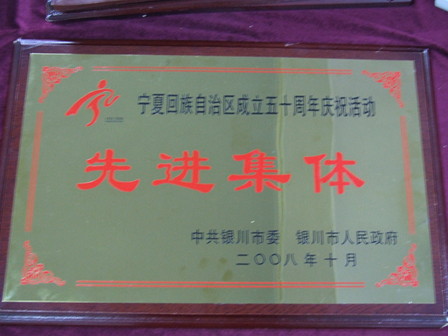2008年宁夏回族自治区成立五十周年庆祝活动先进集体.jpg