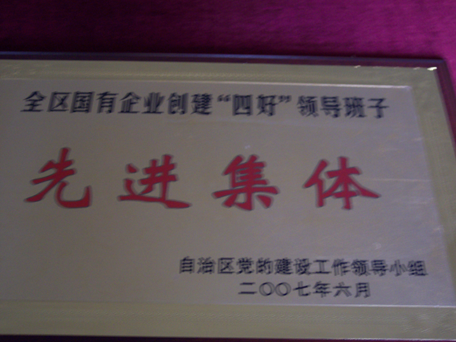 2007年6月自治区党的建设工作领导小组先进集体