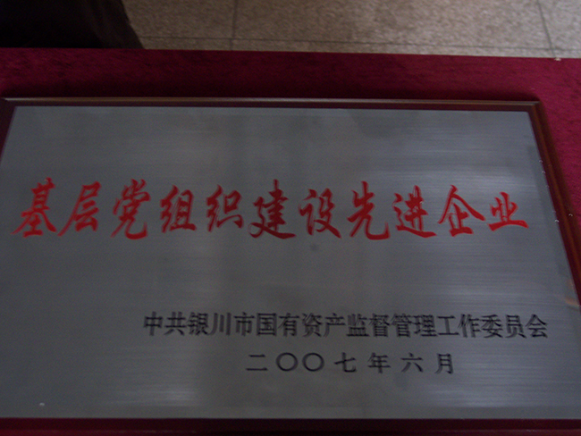 2007年6月基层党组织建设先进企业