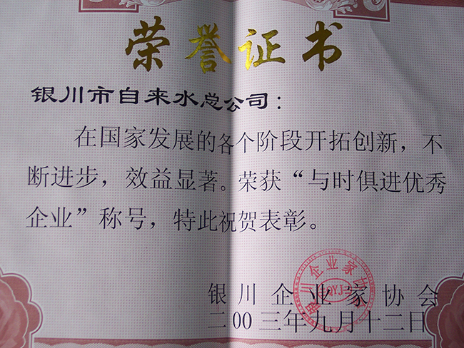 2003年银川企业家协会“与时俱进优秀企业”称号